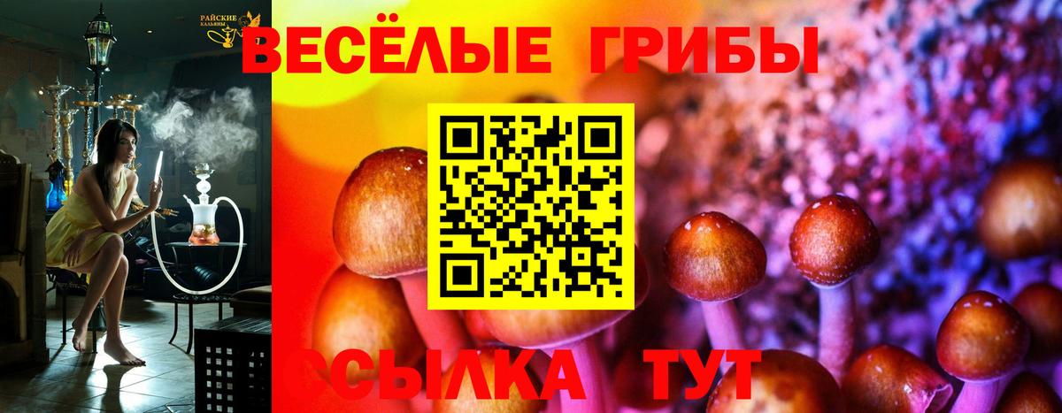 Псилоцибиновые грибы мицелий  Псилоцибиновые грибы Psilocybine cubensis  Вход с VPN  Павловский Посад 